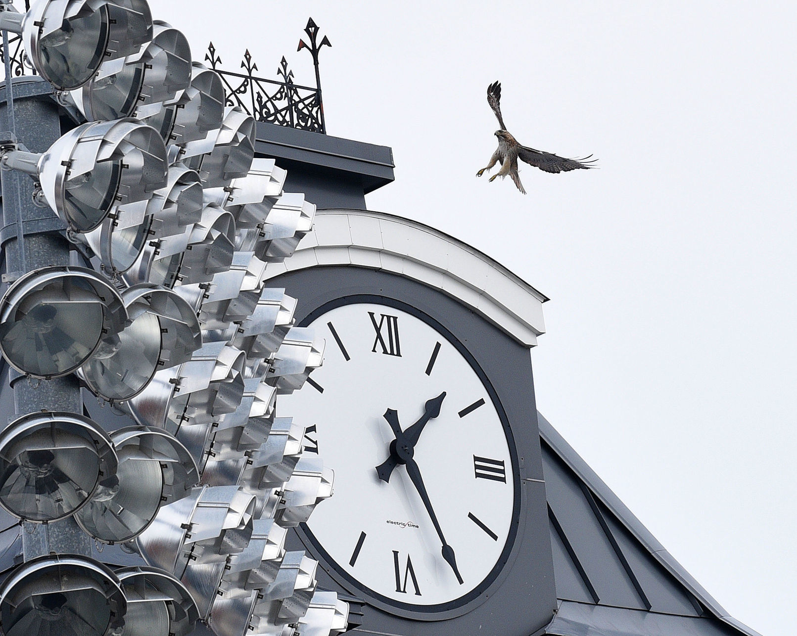 Coming home to roost